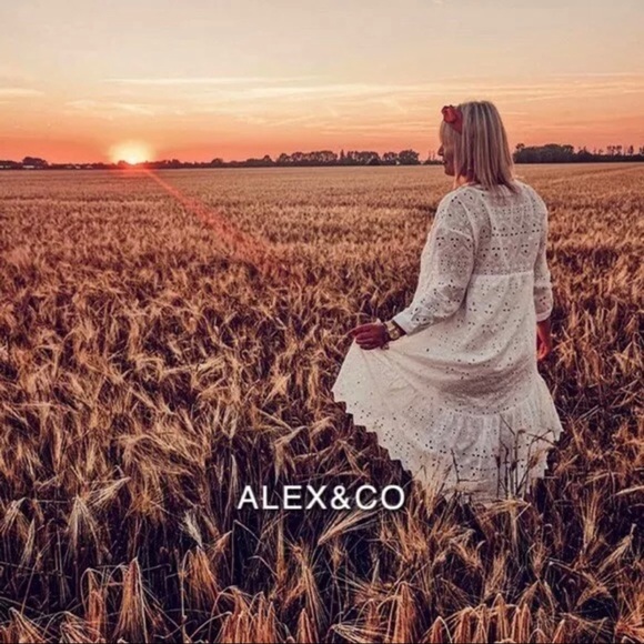 OPENWORK EMBROIDERED MIDI DRESS - Picture 4 of 8